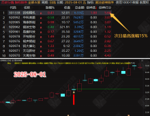 通达信【道法创神尾】排序副选指标，创业板尾盘指标之王，手握此器，你便是股市最后的王