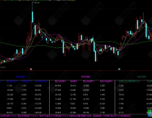 通达信〖六大财务〗副图 直观显示F10财务数据 成长性获利性安全性指标